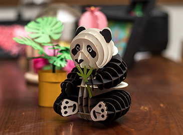 科技包装